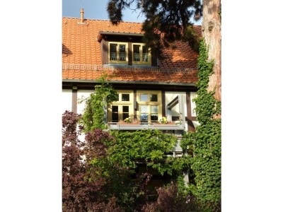 Holiday apartment Apartment on the park - Outdoor photo 3