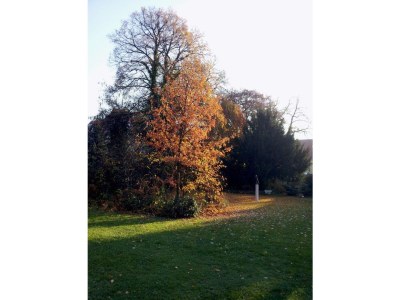 Holiday apartment Apartment on the park - Outdoor photo 7