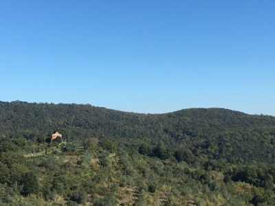 Villa Antonino - Environment photo 21