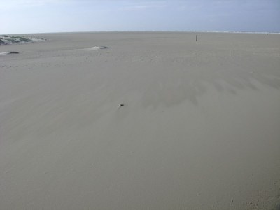 Holiday apartment Strandhafer Friesenresidence - Environment photo 20