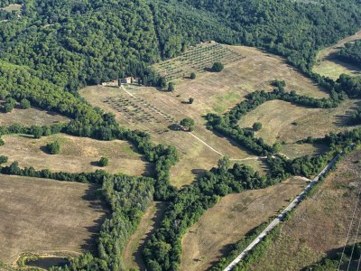 Villa Podere Cafaggio 12 - Environment photo 17