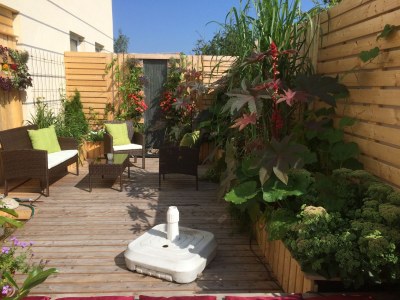 Holiday apartment Schedler 2 - Outdoor photo 8