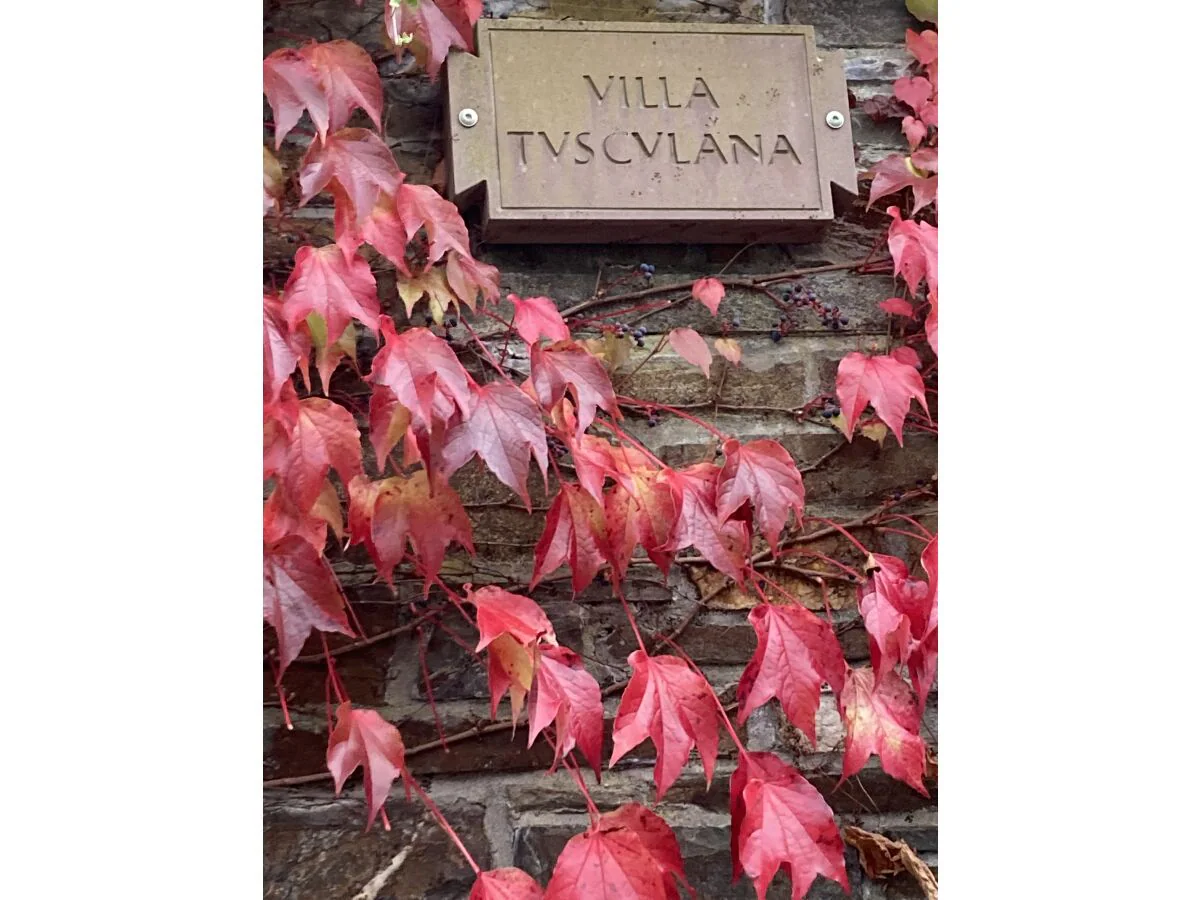 Holiday house Villa Tusculana - Outdoor photo 5