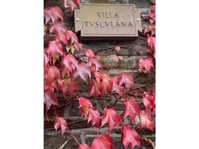 Holiday house Villa Tusculana - Outdoor photo 5