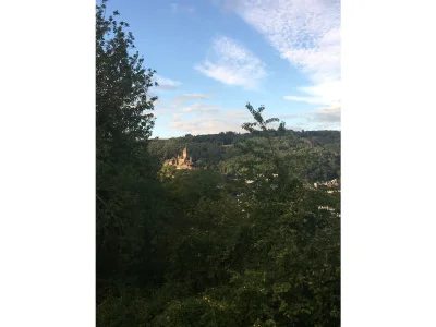 Holiday house Villa Tusculana - Features photo 19