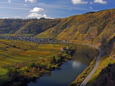 Holiday house Villa Tusculana - Environment photo 21