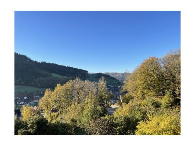 Chalet Sarah - Outdoor photo 8