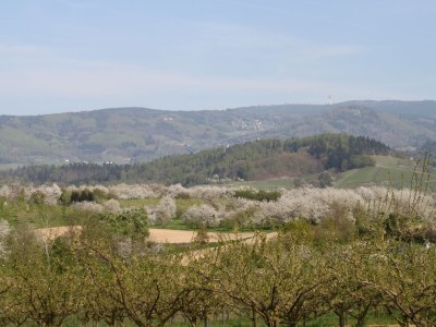 Chalet Sarah - Environment photo 18