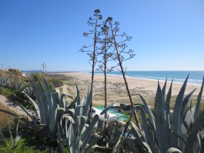 Holiday apartment Puesta del Sol - Environment photo 20