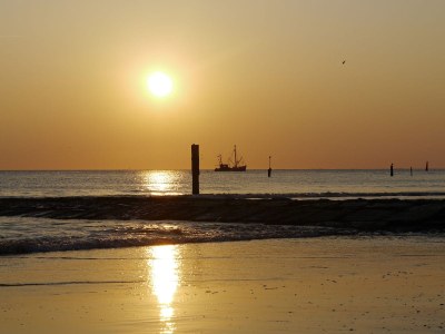 Holiday apartment 2 bush - Environment photo 14