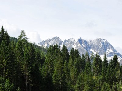 Holiday apartment Hase - Outdoor photo 5