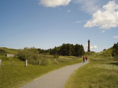 Holiday apartment 3 bush - Environment photo 15