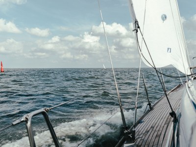 Holiday apartment 3 bush - Environment photo 17