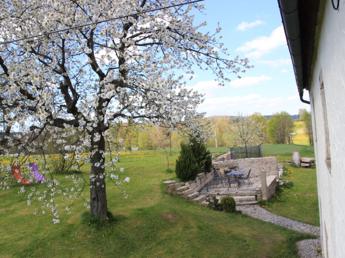 Holiday apartment NaturPur