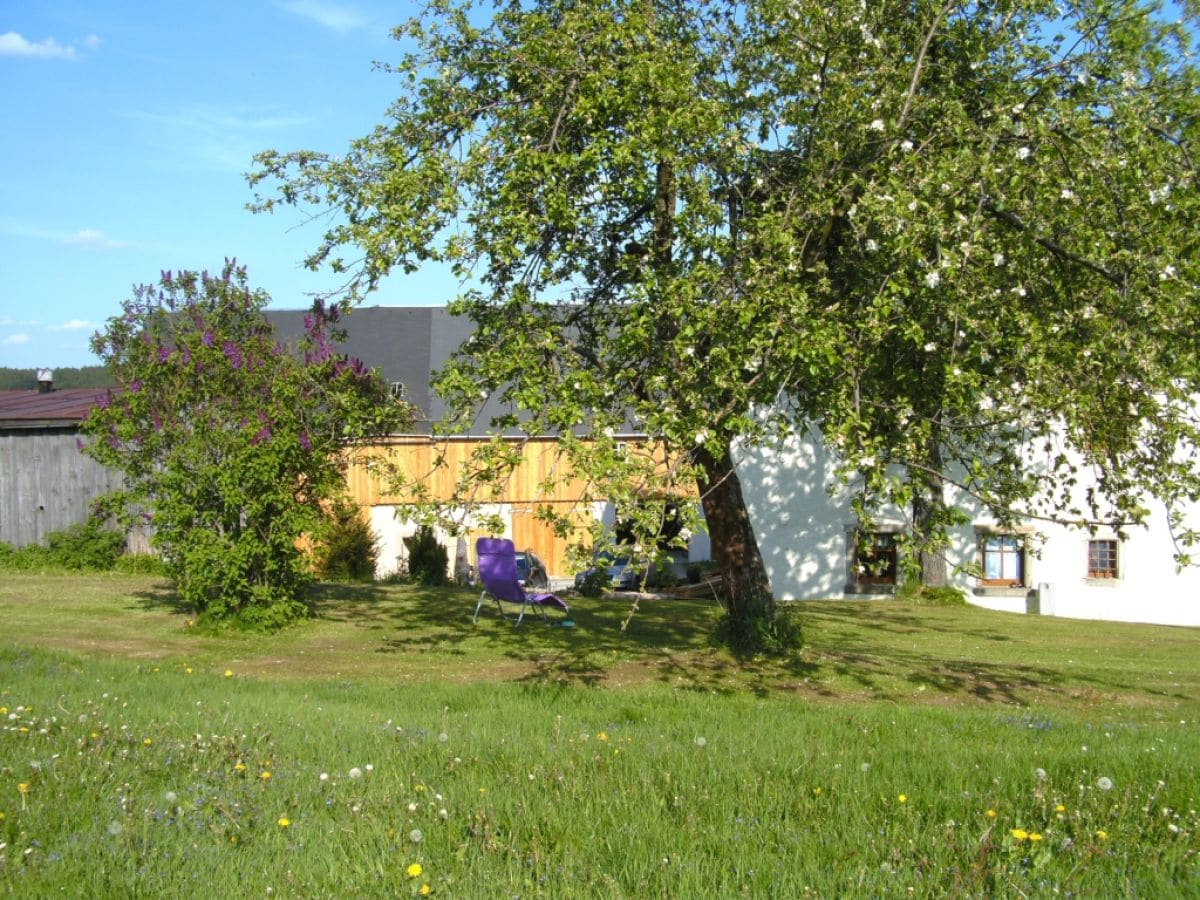 Holiday apartment NaturPur - Outdoor photo 3