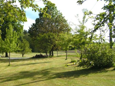 Holiday apartment NaturPur - Outdoor photo 7