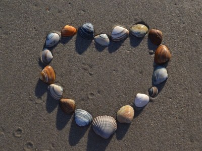 Holiday apartment Residence Juliana 78 - Environment photo 23