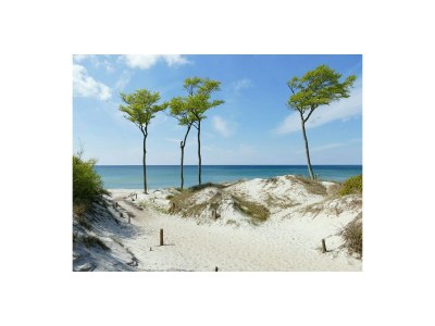 Holiday apartment Schwalbe - Environment photo 24