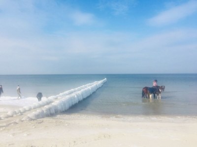 Holiday apartment Schwalbe - Environment photo 25