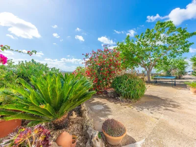 Finca Barranc de Son Fullós - Outdoor photo 47