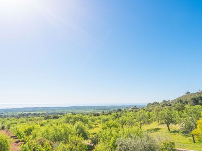 Finca Sa Roca Blanca - Outdoor photo 19