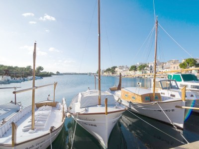 Finca Sa Roca Blanca - Environment photo 51