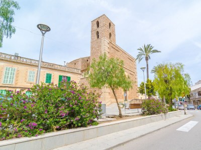 Finca Sa Roca Blanca - Environment photo 52