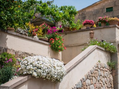 Villa Circe - Outdoor photo 10