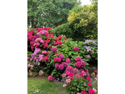 Holiday house Morsumdeelgung - Outdoor photo 6