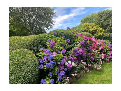 Holiday house Morsumdeelgung - Outdoor photo 7