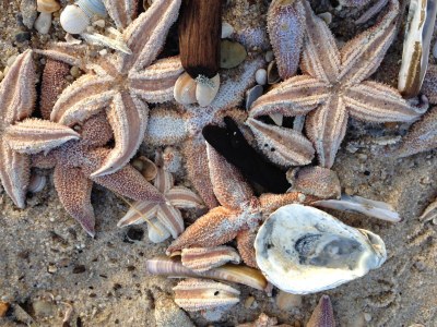 Holiday house Morsumdeelgung - Environment photo 19