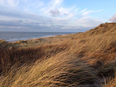 Holiday house Morsumdeelgung - Environment photo 21