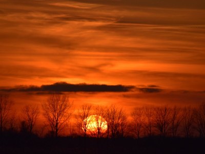 Holiday apartment “Zur Abendsonne” - Environment photo 33