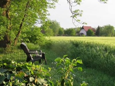 Holiday apartment “Zur Abendsonne” - Environment photo 38