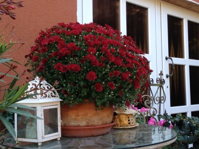 Holiday apartment “Zur Abendsonne” - Document photo 42