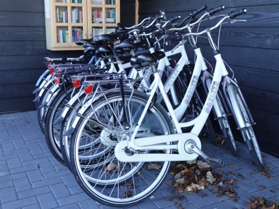 Chalet Het Olmenduin 28 - Outdoor photo 11