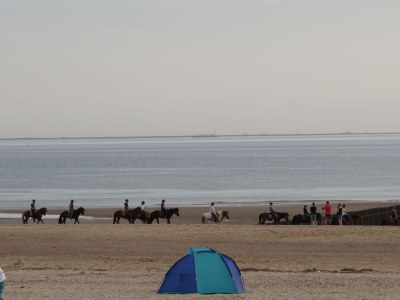 Chalet Het Olmenduin 28 - Environment photo 26