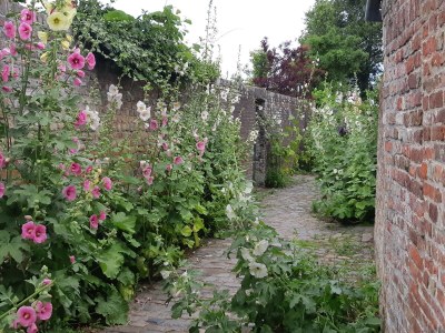 Chalet Het Olmenduin 28 - Environment photo 33