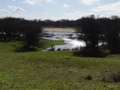 Chalet Het Olmenduin 28 - Environment photo 34