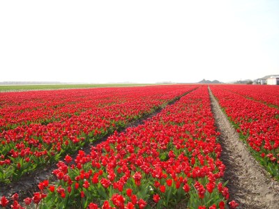 Holiday house The Seal - Environment photo 23