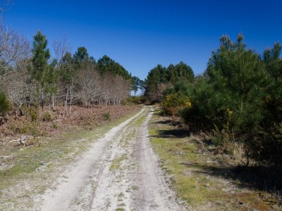 Holiday house by the sea - Environment photo 17