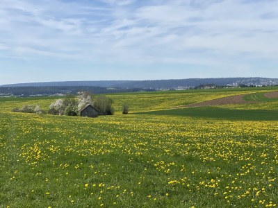 Holiday apartment Emma - Features photo 13