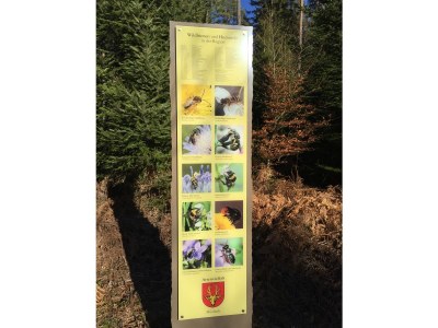 Holiday apartment Emma - Environment photo 21