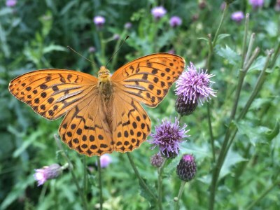 Holiday apartment Emma - Environment photo 22