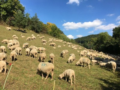 Holiday apartment Emma - Environment photo 25