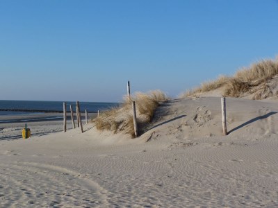 Holiday apartment Duinerei C201 - Environment photo 23