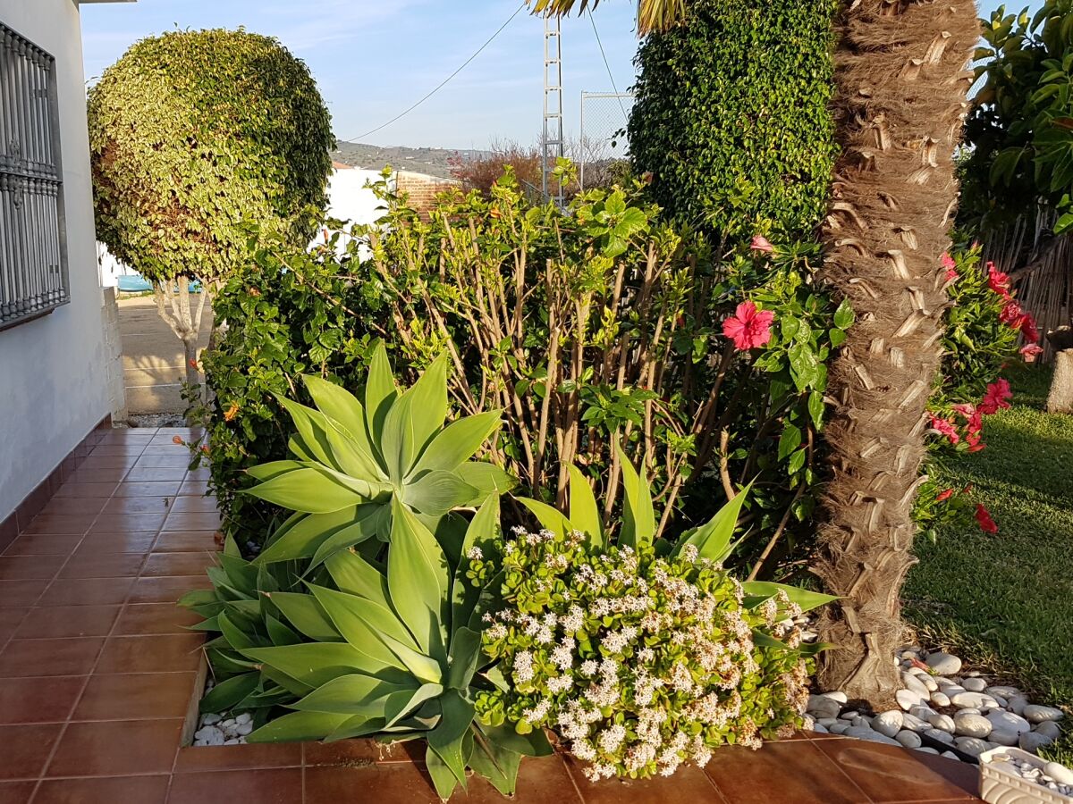 Holiday house Villa Miramar - Outdoor photo 4