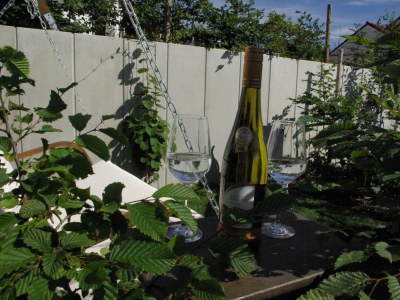 Holiday apartment SaarWeinWald - Outdoor photo 7