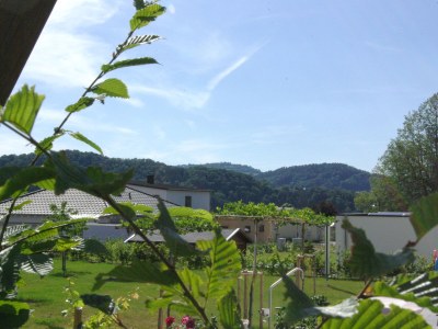 Holiday apartment SaarWeinWald - Outdoor photo 8