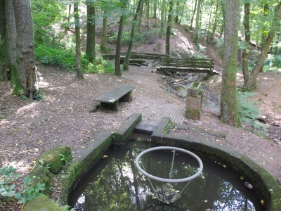 Holiday apartment SaarWeinWald - Environment photo 27